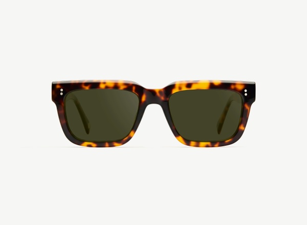 Front view of a pair of eyeglasses called the Torino in Tortoise
