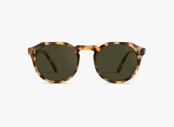 Front view of a pair of eyeglasses called the Sculptor in Turtle