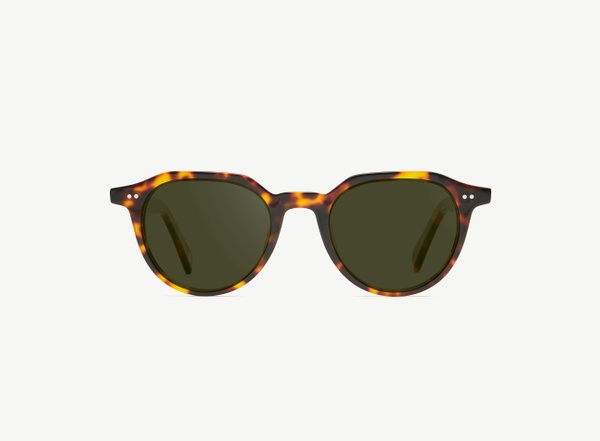 Front view of a pair of eyeglasses called the Director in Tortoise