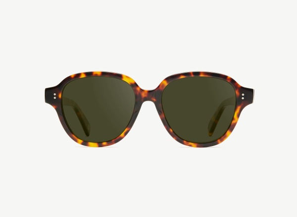 Front view of a pair of eyeglasses called the Altruist in Tortoise