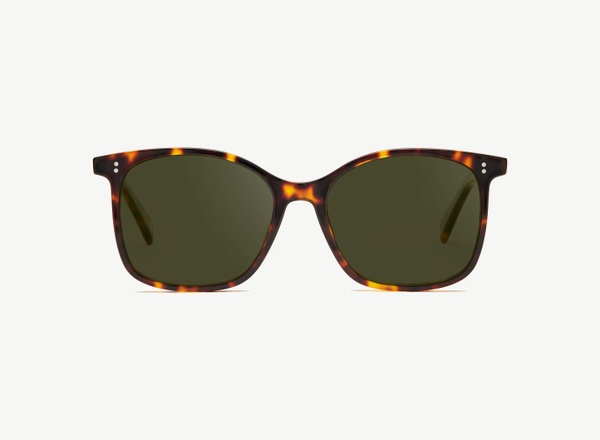 Front view of a pair of eyeglasses called the Saviour in Tortoise