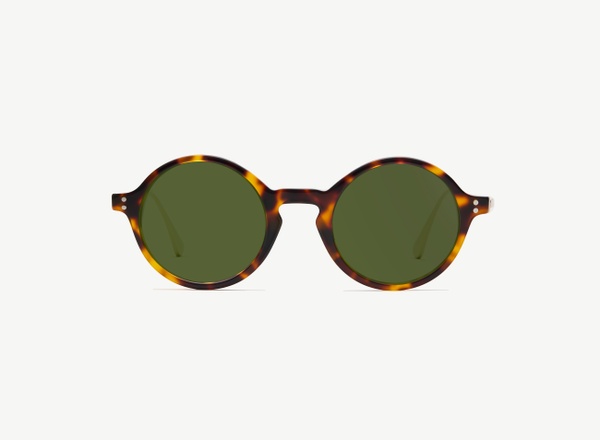Front view of a pair of eyeglasses called the Curator in Tortoise
